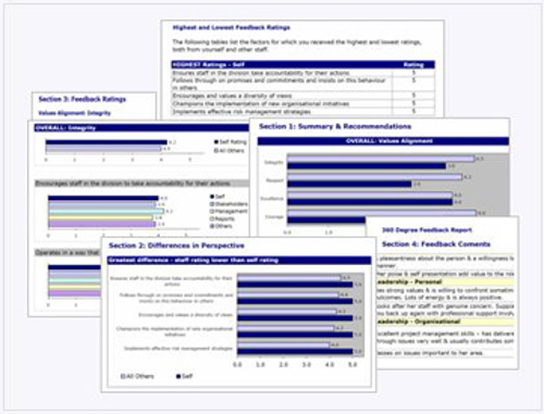 ES-360-sample-reports-grey.jpg